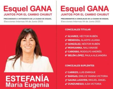 Chubut: los frentes definen candidatos en internas