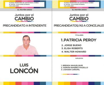 Chubut: los frentes definen candidatos en internas