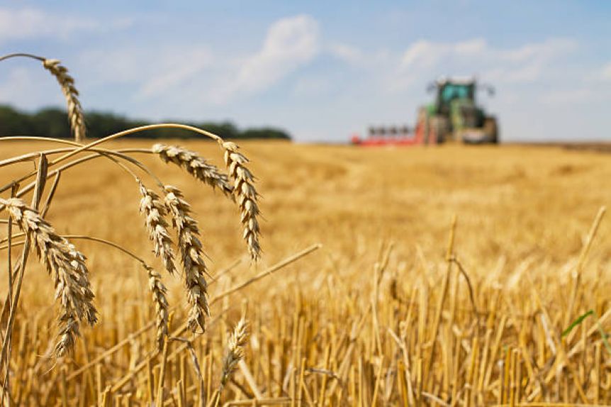 Argentina será el país con menor crecimiento económico de la región