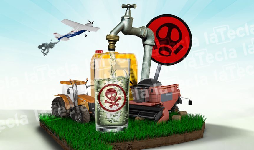Prohibido fumigar en Campana: la Corte pidió que se cumpla la ordenanza y sienta precedente