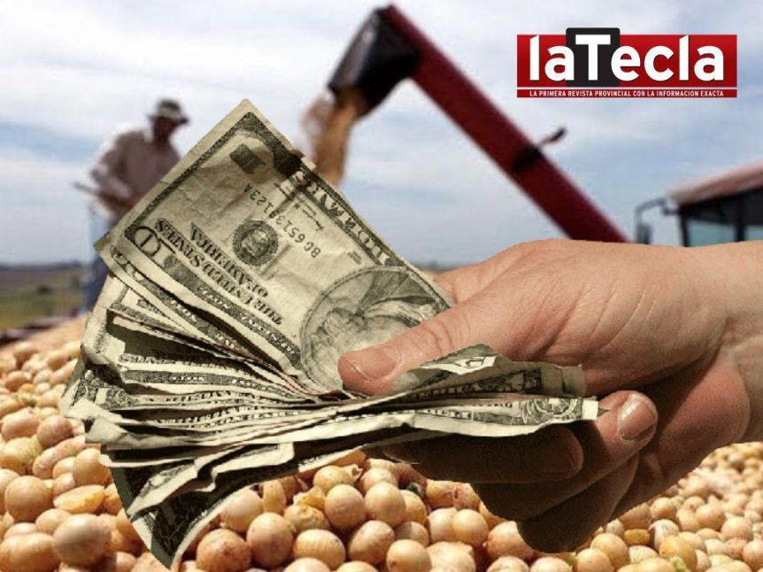 Chau al dólar soja: quiénes fueron los ganadores y perdedores en tierras bonaerenses