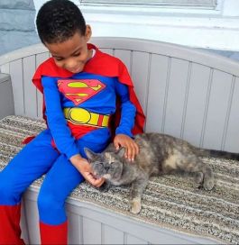 Un niño se disfraza de superhéroe para rescatar a gatitos callejeros