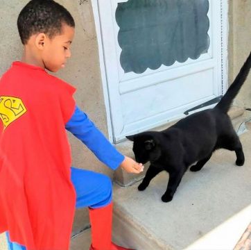 Un niño se disfraza de superhéroe para rescatar a gatitos callejeros