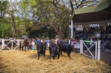 Con un mensaje a la política, se inauguró la 50° Expo Rural de Lincoln