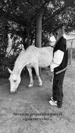 “El campo es lo mío”: Julieta Poggio tuvo un accidente con un caballo y se hizo viral