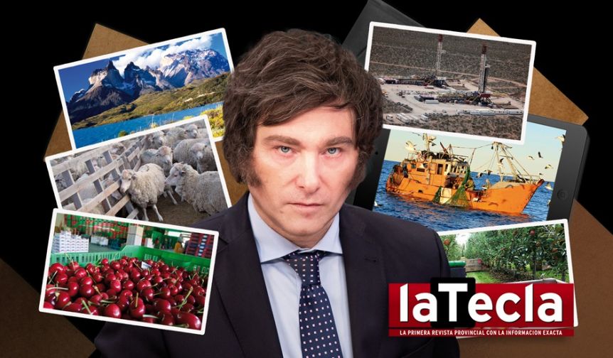 Economías regionales en la era Milei