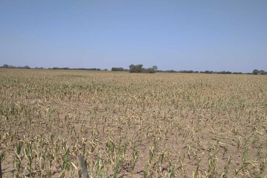 Kicillof puso el gancho y más municipios serán beneficiados por la declaración de Emergencia y/o Desastre Agropecuario