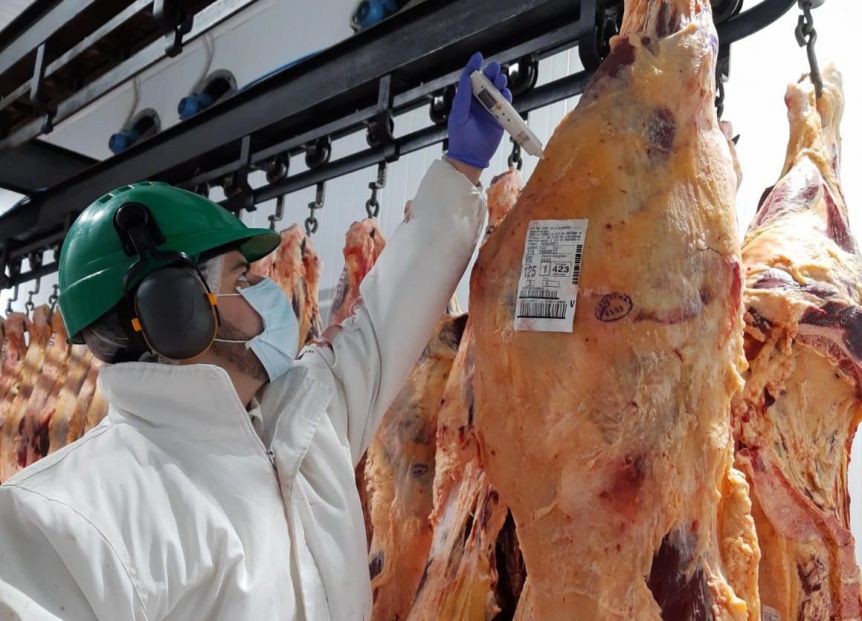 Argentina vuelve a exportar siete cortes prohibidos por decreto