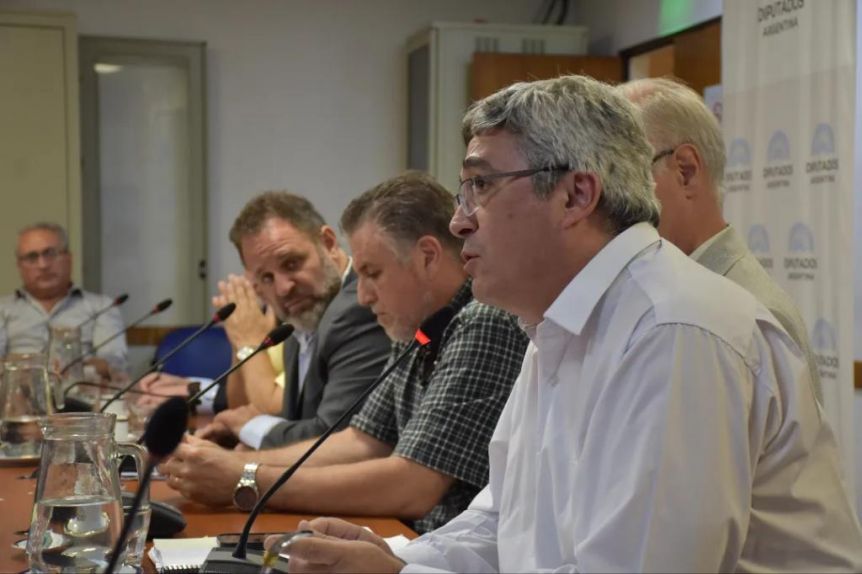 Provincia llevó los reclamos del sector pesquero al Congreso