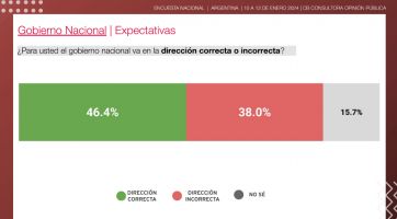Encuesta: a un mes de gobierno, la imagen de Javier Milei se mantuvo estable