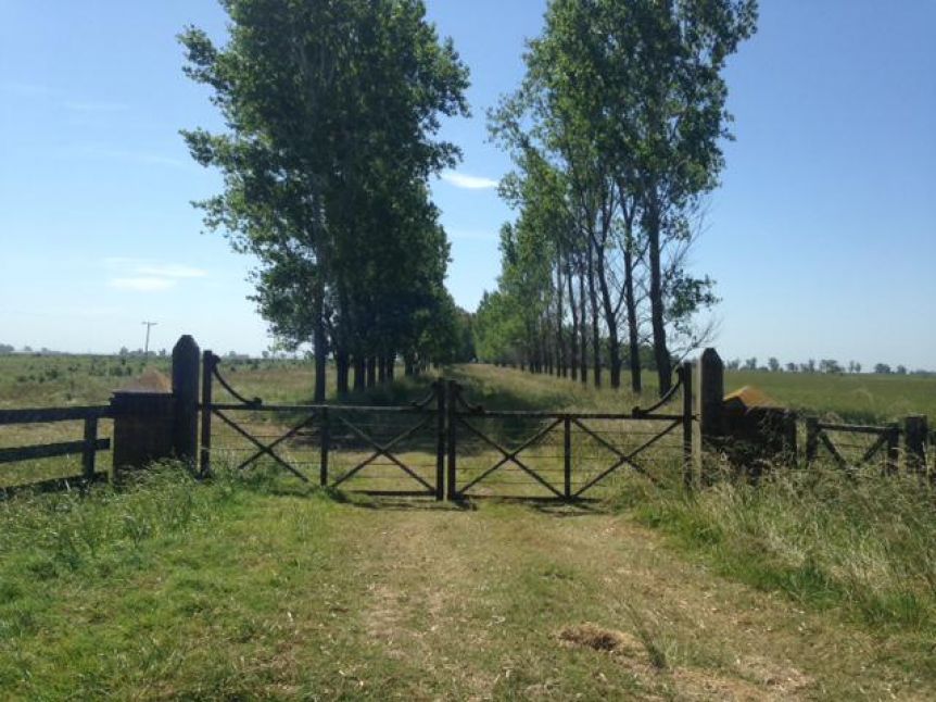 Con los tapones de punta, el campo insiste con sus reclamos al gobierno de Kicillof