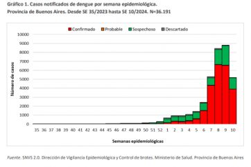 Alerta dengue: sube el números de municipios afectados y crece la presión por la vacuna