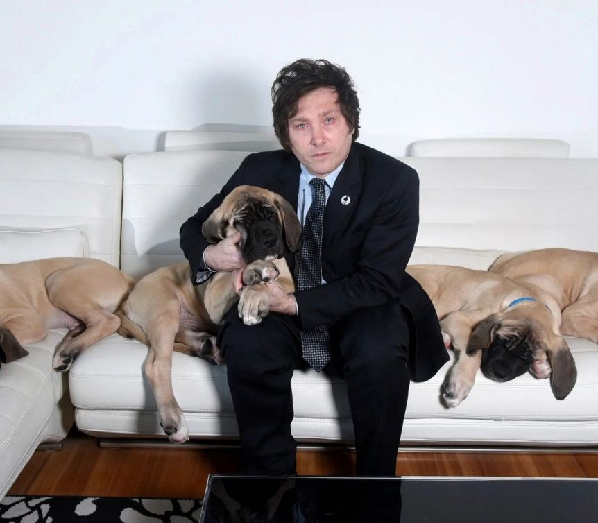 Amores perros: qué hacen día a día y cómo son los hijos perrunos de Milei