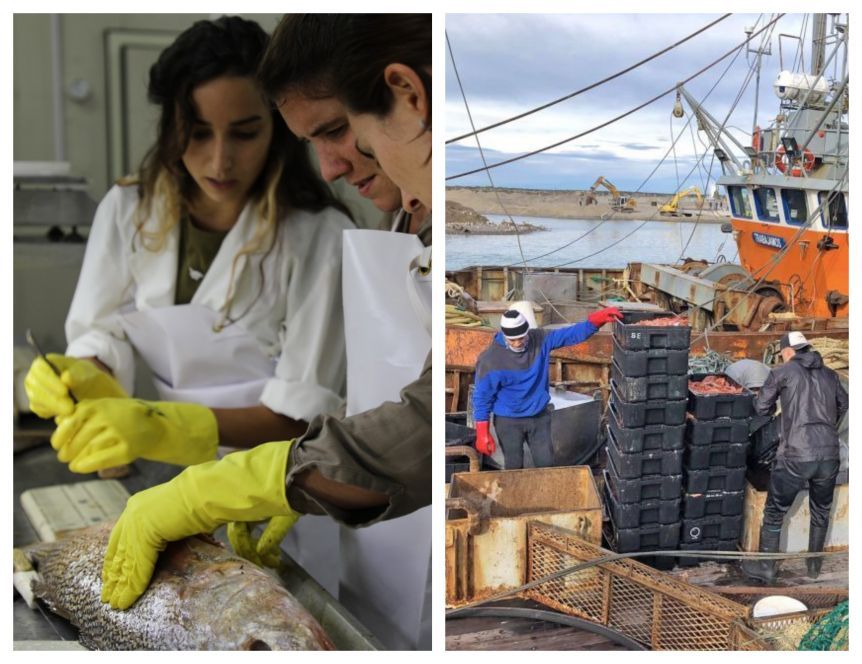 ¿Se vendrían cambios en la Dirección Provincial de Pesca?