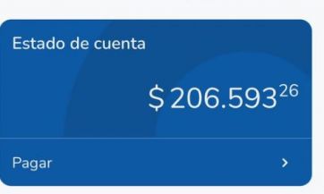 Legislador bonaerense a las puteadas por la boleta de luz