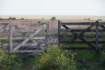 La Provincia decidió no actualizar la segunda cuota del impuesto inmobiliario rural