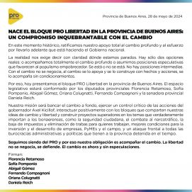Con nuevo sello, se partieron los bloques PRO en la Legislatura bonaerense