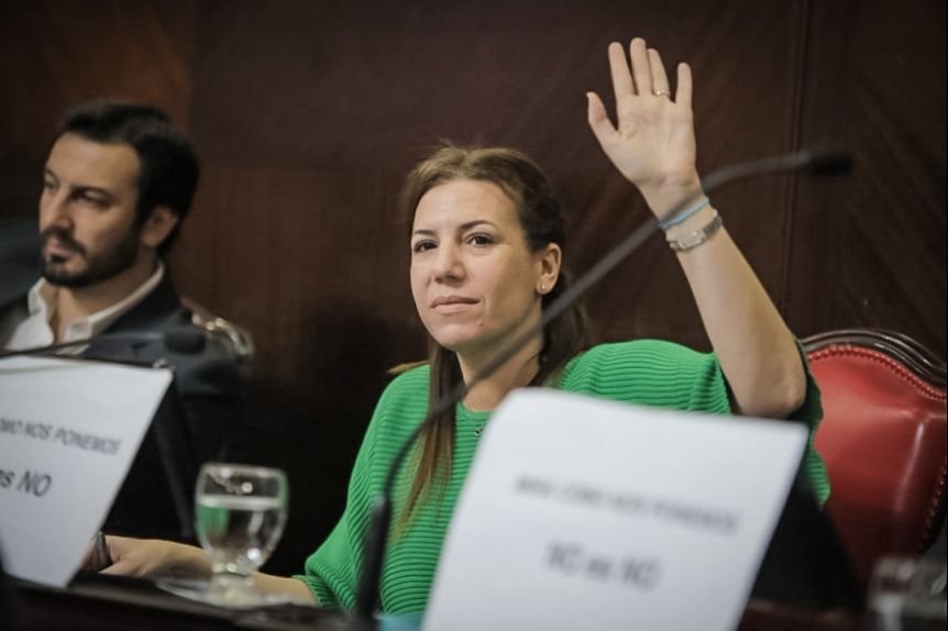 Daniela Reich renunció a la vicepresidencia del Senado bonaerense