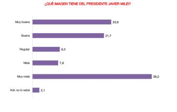 Expectativa, imagen y medidas: qué dice la última encuesta que mira la gestión Milei