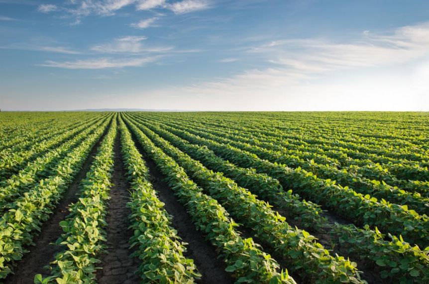 Productores de municipios de la Cuarta Sección reciben un alivio fiscal