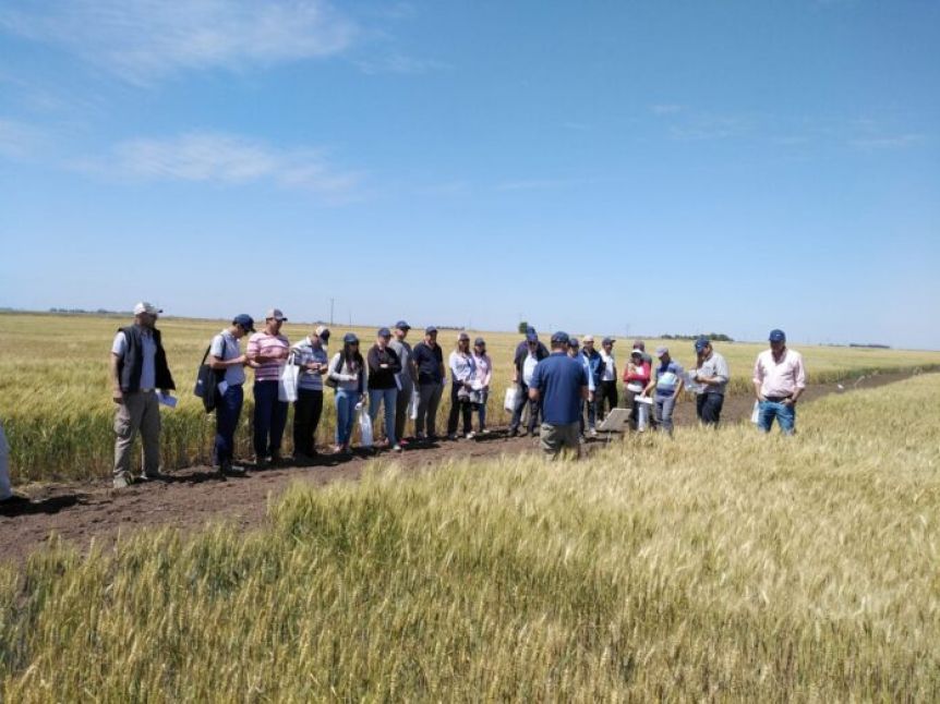 Qué municipios tuvieron el Ok al Programa Provincial “Desarrollo Rural Bonaerense