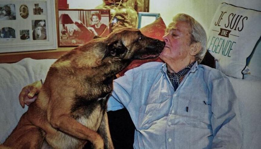 Pese al deseo de Alain Delon, su perro no será sometido a la eutanasia