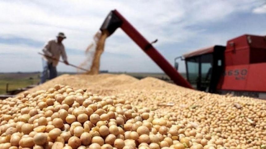 El Gobierno le prende velas al campo y sueña con los dólares de la cosecha