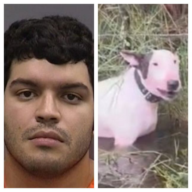 Identificaron al hombre que ató y abandonó a su perro en el medio del huracán Milton