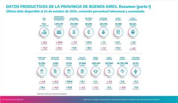 Críticas y luz de alarma por el desplome en los principales indicadores productivos