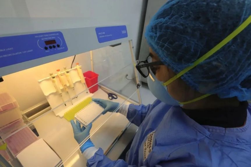 La ANMAT aprobó un test nacional para detectar el virus del dengue