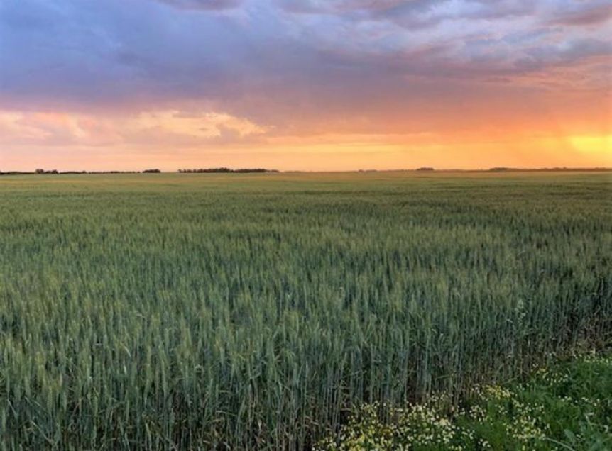 Inmobiliario rural: productores alertaron por “confiscación” tras recibir aumentos del 100%