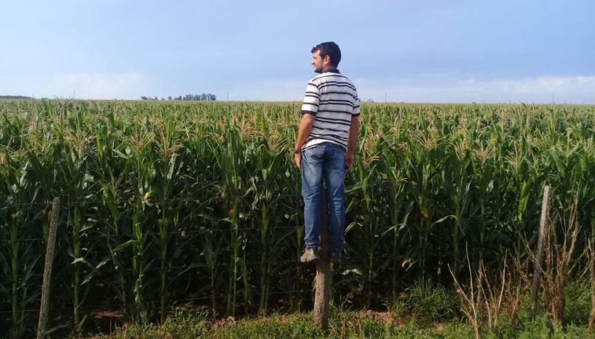 Cae la confianza del campo y los productores aseguran no invertir durante 12 meses
