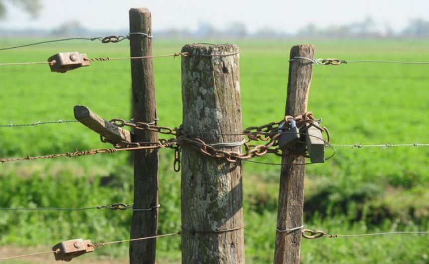 Bandidos rurales: el campo con los tapones de punta pide medidas urgentes
