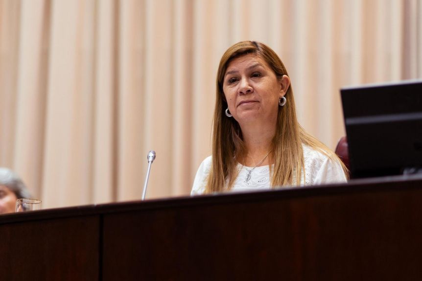 La Legislatura investiga ahora los gastos reservados y viáticos de la Vice suspendida