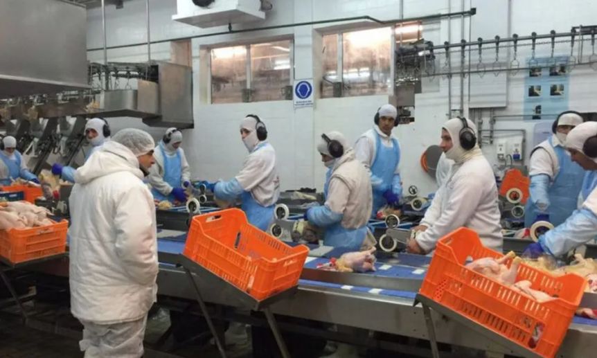 La principal avícola del país se declara en crisis y peligran centenares de empleos