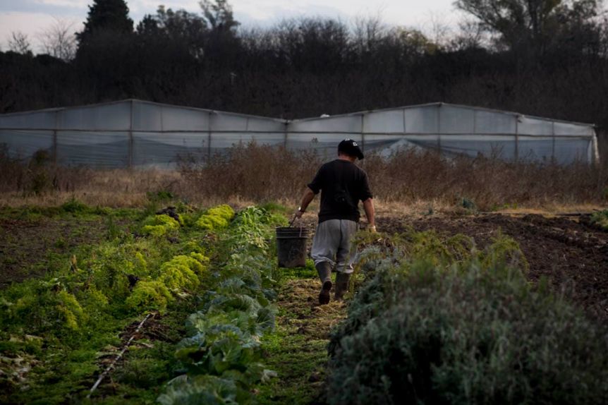 Mesa de Desarrollo Agrario Local: la apuesta del Gobierno para el campo