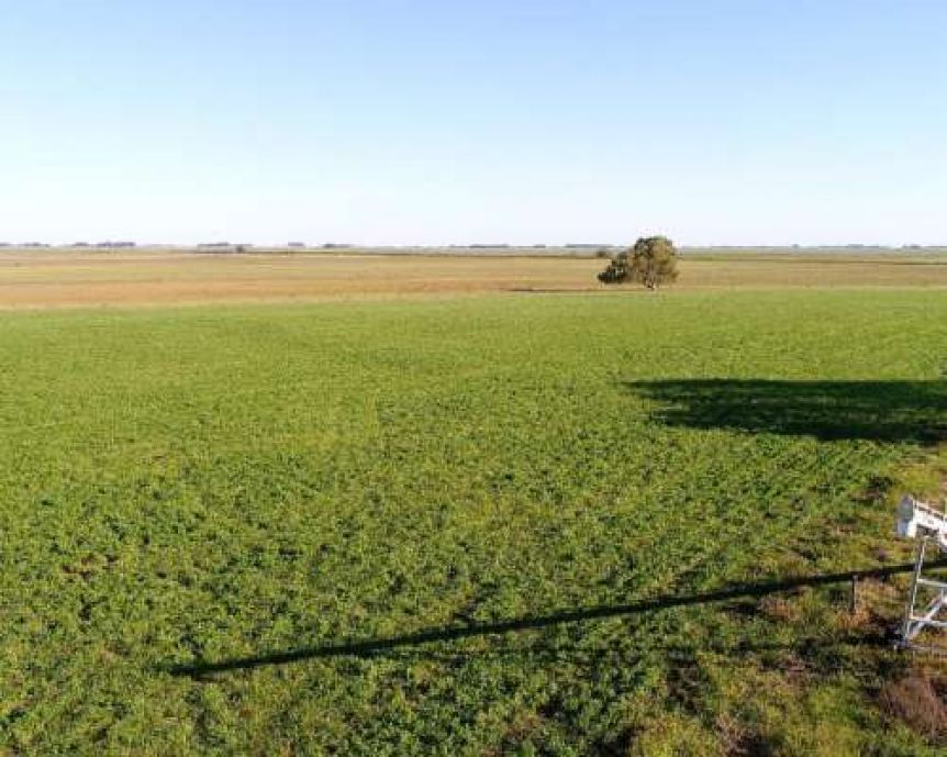 El campo puso la mira en el aumento de tasas y le dio duro a los intendentes
