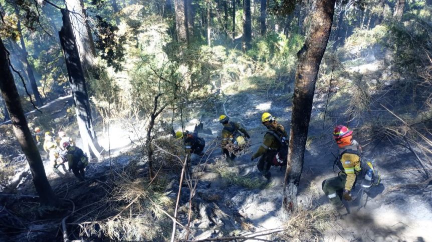 Parque Nahuel Huapi: cuál es el estado del incendio en Los Manzanos