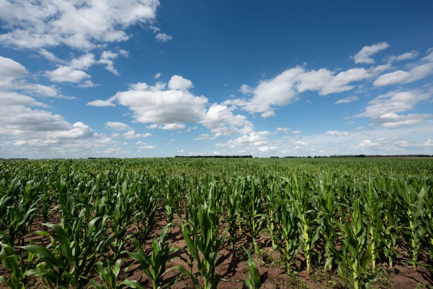 Nación cosechó la venia del campo y de sectores concentrados de la economía