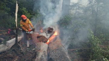 Arde el sur: el mapa de los incendios