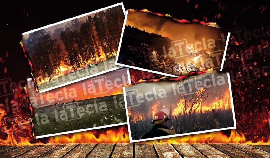 El trasfondo inmobiliario del fuego