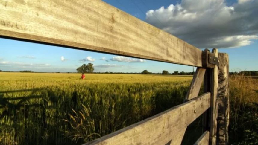 Eximen del pago del Inmobiliario Rural a municipios afectados por los temporales