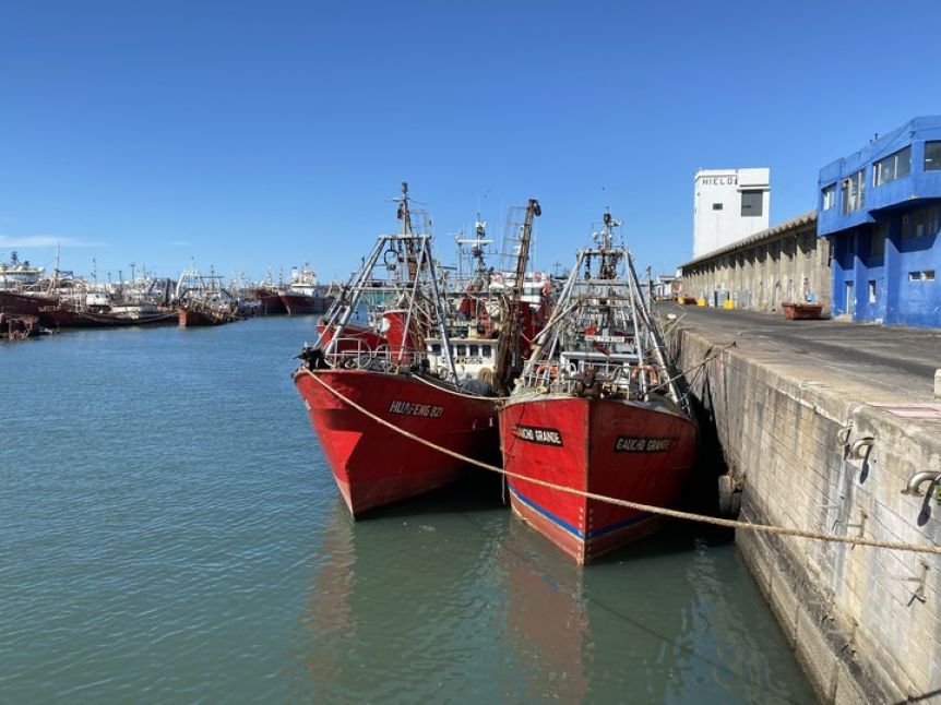 Mar del Plata: preocupación en el puerto por una fuerte caída de la demanda de merluza