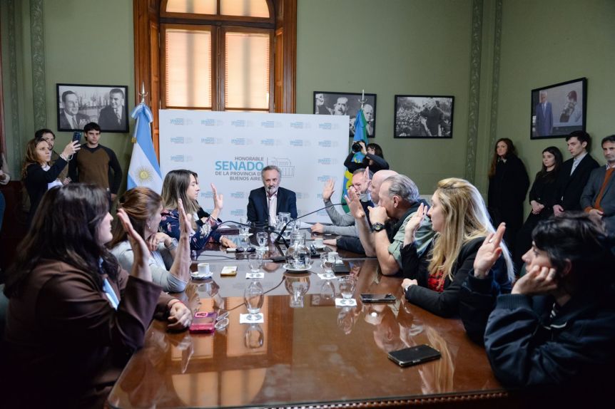 En el Senado le piden a Alonso que dé explicaciones por la inseguridad