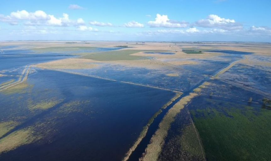 Buscan declarar la emergencia agropecuaria en Bahía Blanca
