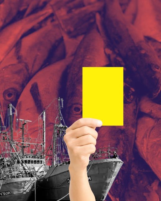 Acumulación de amarillas: el ranking de sanciones a empresas merluceras
