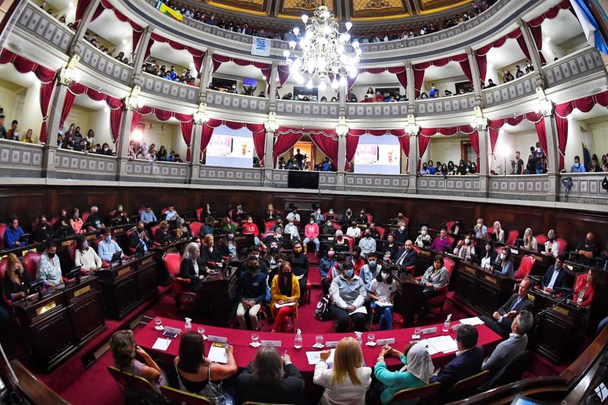 El Senado llamó a sesión para tratar la suspensión de las PASO