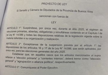 El Senado aprobó la suspensión de las PASO, pero no los plazos pedidos por Kicillof