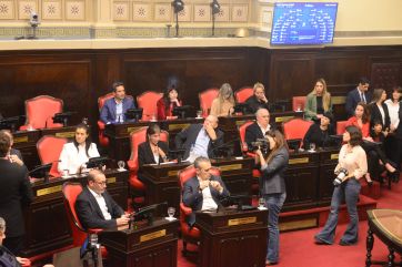El Senado aprobó la suspensión de las PASO, pero no los plazos pedidos por Kicillof
