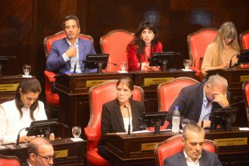 El Senado aprobó la suspensión de las PASO, pero no los plazos pedidos por Kicillof